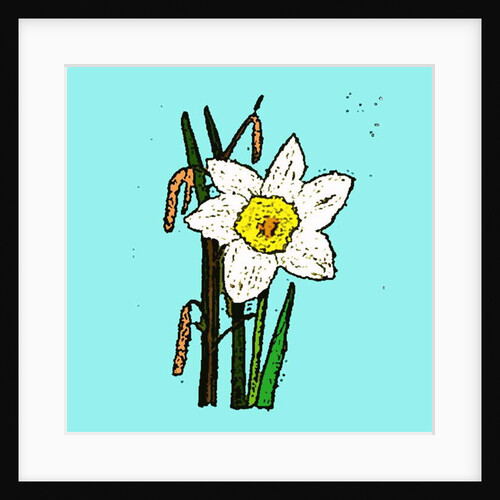 Daffodils, 2015 by Sarah Thompson-Engels