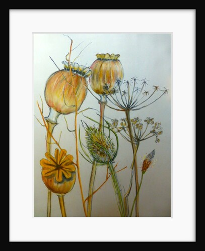 Untitled by Sarah Thompson-Engels