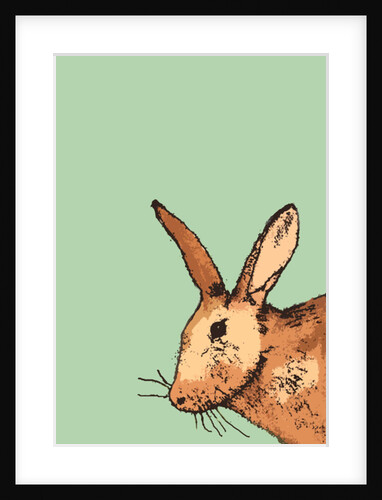 Hare, 2014 by Sarah Thompson-Engels