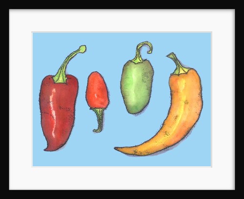 Chilli peppers, 2013 by Sarah Thompson-Engels