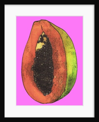 Papaya, 2008 by Sarah Thompson-Engels