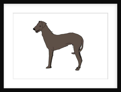 Hound, 2018 by Sarah Thompson-Engels