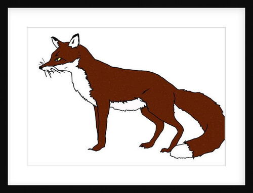 Fox, 2018 by Sarah Thompson-Engels