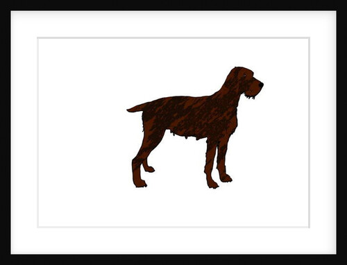 Dog, 2018 by Sarah Thompson-Engels