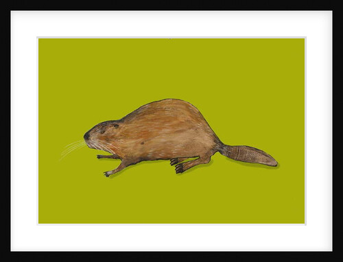 Beaver, 2014 by Sarah Thompson-Engels