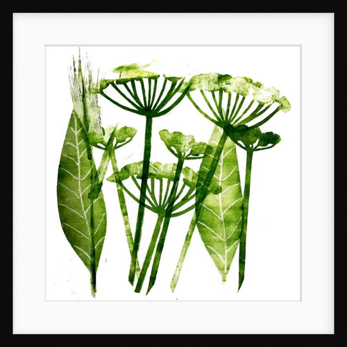 Cow Parsley in green, 2019 by Sarah Thompson-Engels