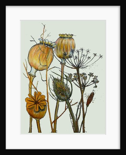 Dried seed heads,2019 by Sarah Thompson-Engels