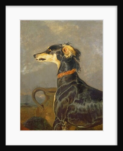 A Saluki Dog, 1840-44 by Edwin Landseer