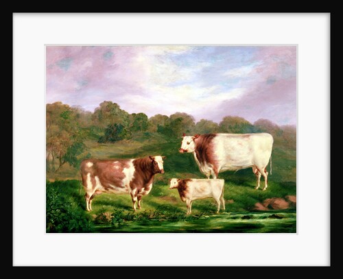 Towneley Pedigrees, 1858-61 by Henry Barraud