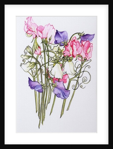 Ten Sweet Peas with Tendrils, 2012 by Joan Thewsey
