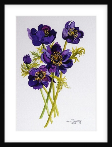 Anemones, 2011, by Joan Thewsey