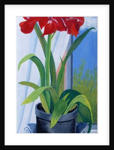Amaryllis in a Blue Bowl, 2011 by Joan Thewsey
