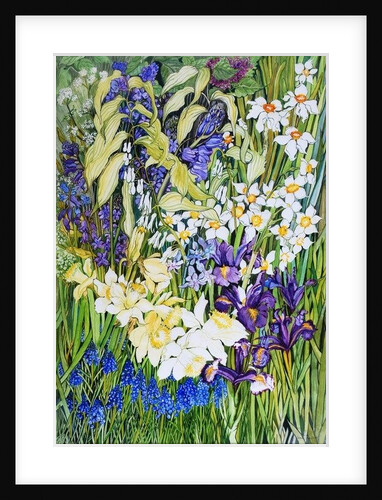 Spring Border, 2012 by Joan Thewsey