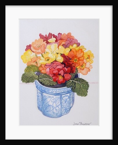 The Multicoloured Primrose, 2011 by Joan Thewsey
