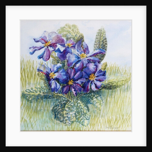 The Mauve Primrose, 2000 by Joan Thewsey