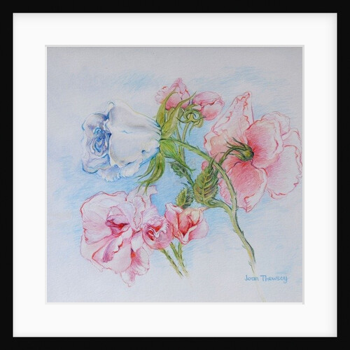 Morning Roses, 2002 by Joan Thewsey