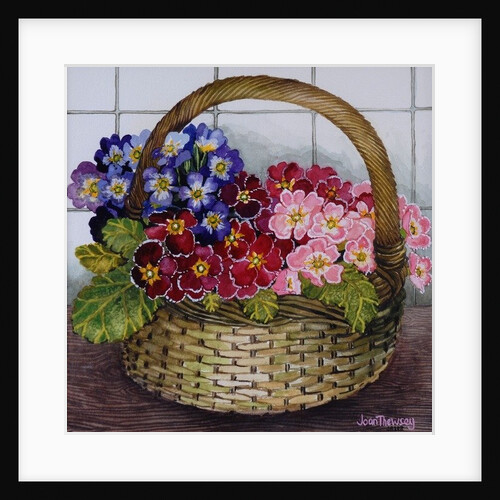 Red Mauve and Pink Primroses in a Basket, 2012 by Joan Thewsey