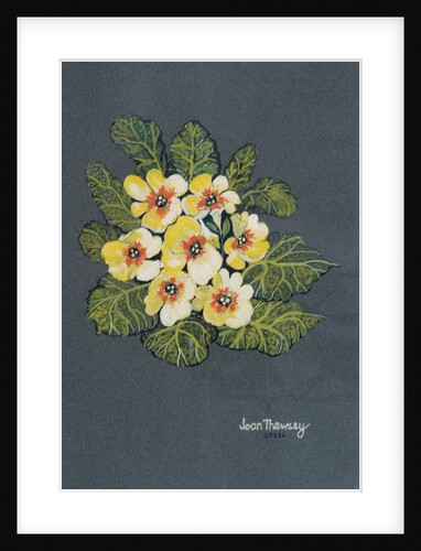 The Yellow Primrose, 2012 by Joan Thewsey