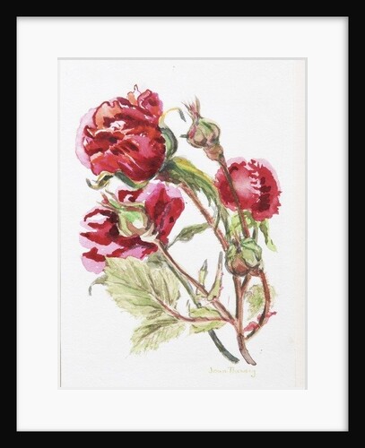 Red Rose Spray, 2001 by Joan Thewsey