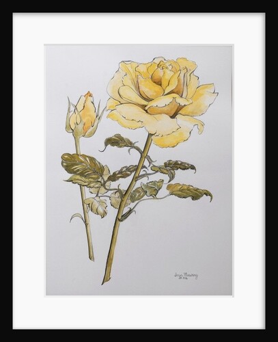 Yellow Rose with Leaves with Bud, 2012 by Joan Thewsey