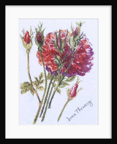 Little Red Roses, 2005 by Joan Thewsey
