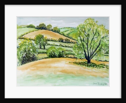 Suffolk Landscape, view from Dalham Church, 2011 by Joan Thewsey