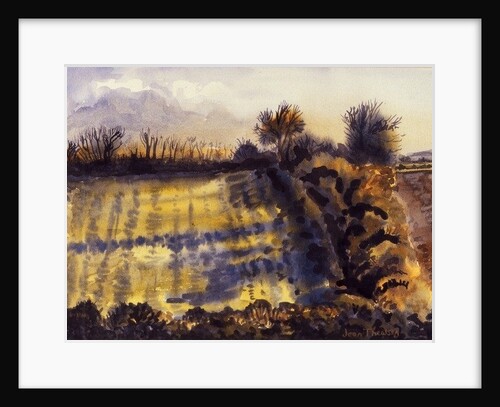 Field with Long Shadows by Joan Thewsey