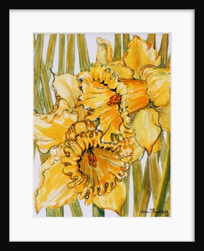 Two Daffodils, 2001 by Joan Thewsey