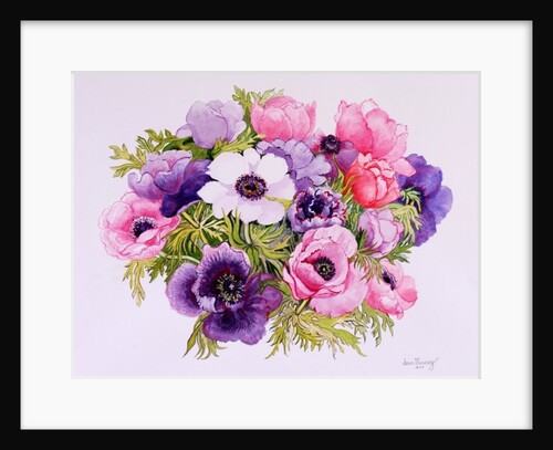 Anemones, 2001 by Joan Thewsey