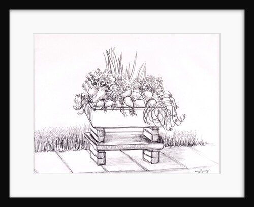 The Sink Garden, 2000 by Joan Thewsey