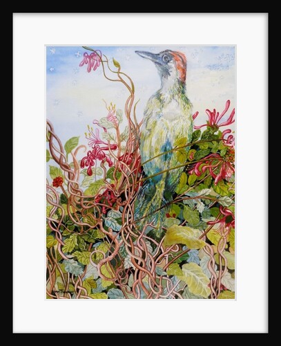 Woodpecker in the Honeysuckle, 2010 by Joan Thewsey