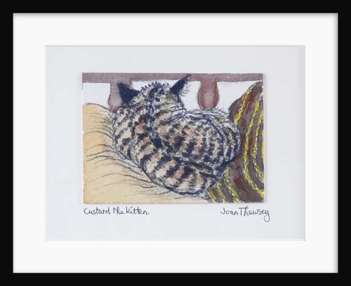 Custard the Kitten, 2005 by Joan Thewsey