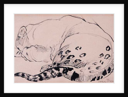 Sketch,Leopard,London Zoo, 2005 by Joan Thewsey