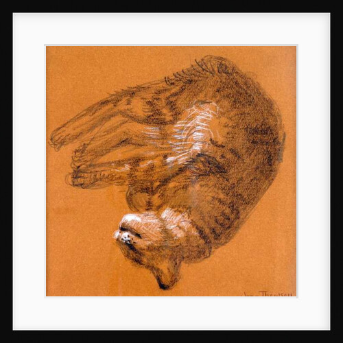 Sleeping Tabby Cat, 2005 by Joan Thewsey
