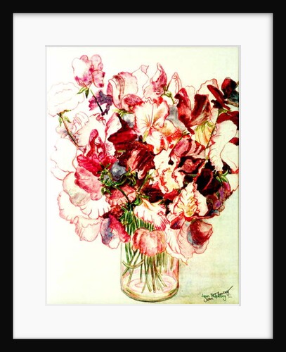 Sweet Peas, 2005 by Joan Thewsey