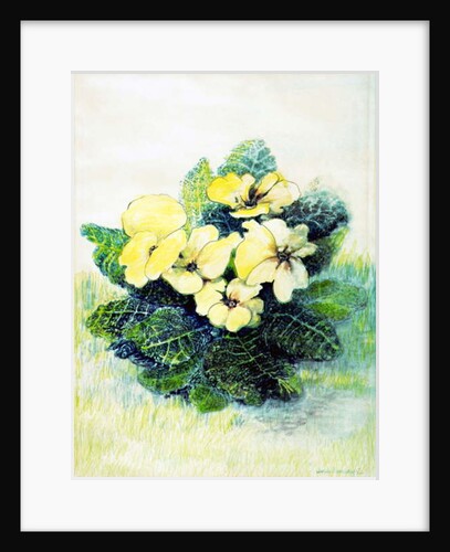 Primrose Pale Yellow, 2005 by Joan Thewsey