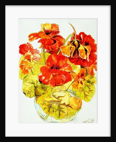 Nasturtiums, 2005 by Joan Thewsey