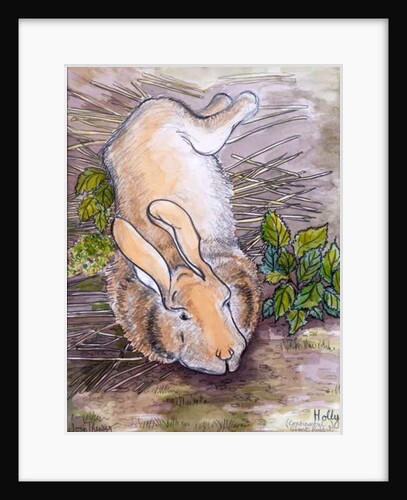 Holly, the Giant Continental Rabbit, 2002 by Joan Thewsey