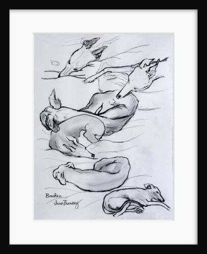 Bracken, the whippet, 2000 by Joan Thewsey
