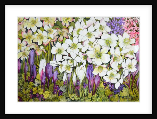 Spring Border: Hellebores, Crocus and Violets, 2000 by Joan Thewsey