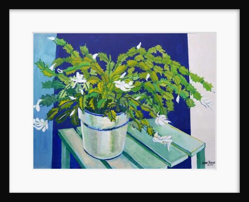 Christmas Cactus, 2000 by Joan Thewsey