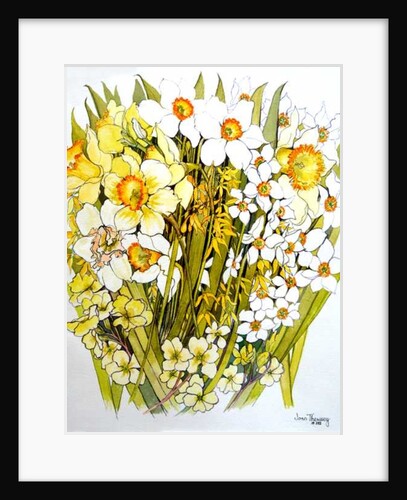 Daffodils, Narcissus, Forsythia and Primroses, 2000 by Joan Thewsey