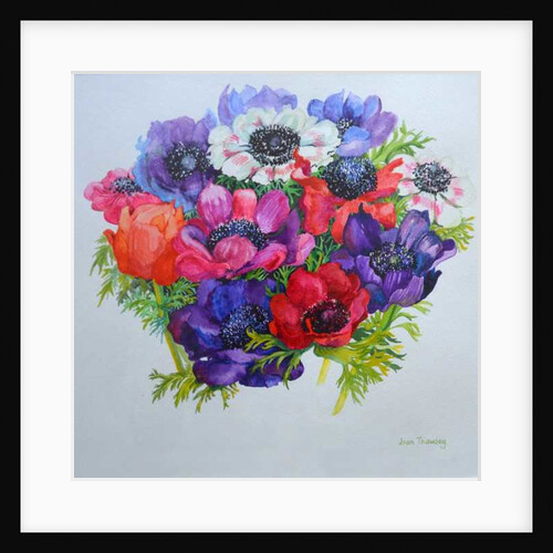 Anemones: red, white, pink and purple, 2000 by Joan Thewsey