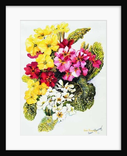 Primroses,White,Yellow,Pink and Red, 2000 by Joan Thewsey
