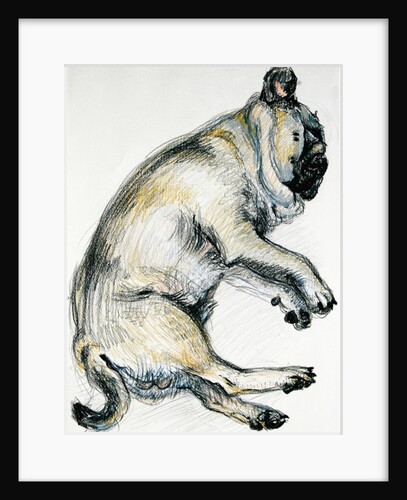 Sleeping Pug One, 2000 by Joan Thewsey