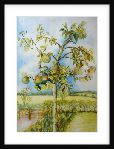 The Apple Tree, 2001 by Joan Thewsey