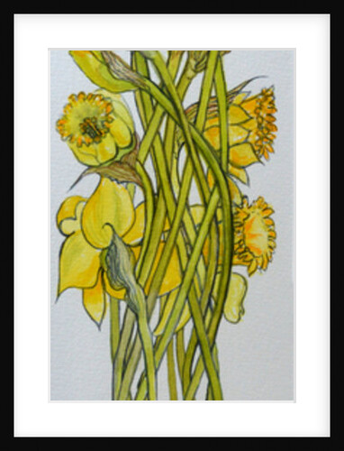 Daffodils, 2008 by Joan Thewsey
