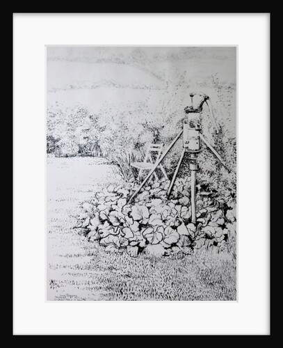 The Garden Pump, 1973 by Joan Thewsey