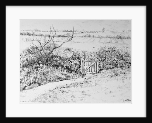 Cottage Gate and View Beyond, 2015 by Joan Thewsey