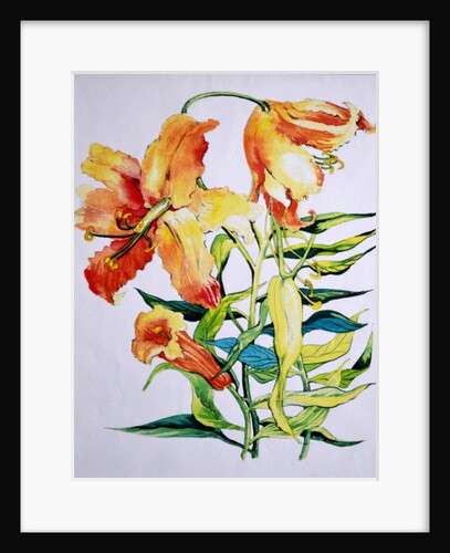 Orange Lilies 1, 1985 by Joan Thewsey
